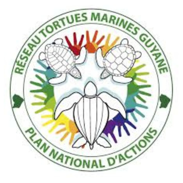 Logo Réseaux Tortues Marines de Guyane