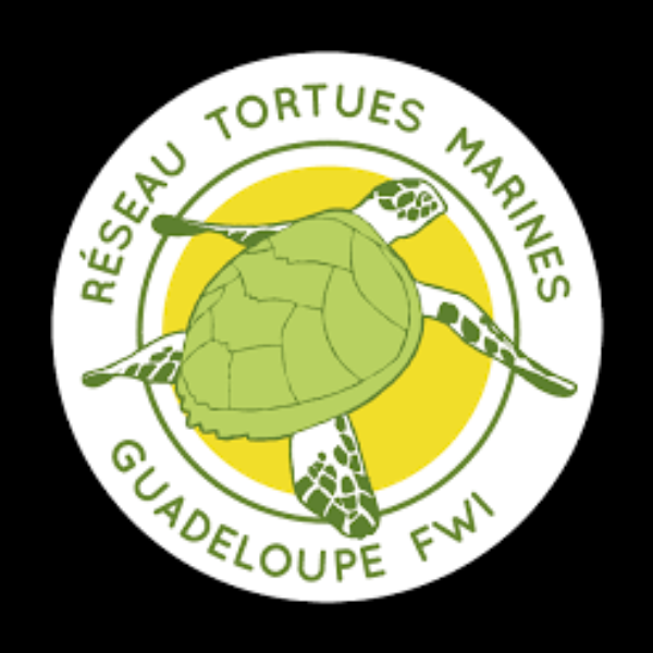 Logo Réseaux Tortues Marines de Guadeloupe
