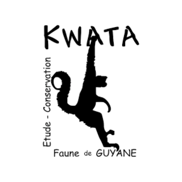 Logo Association Kwata