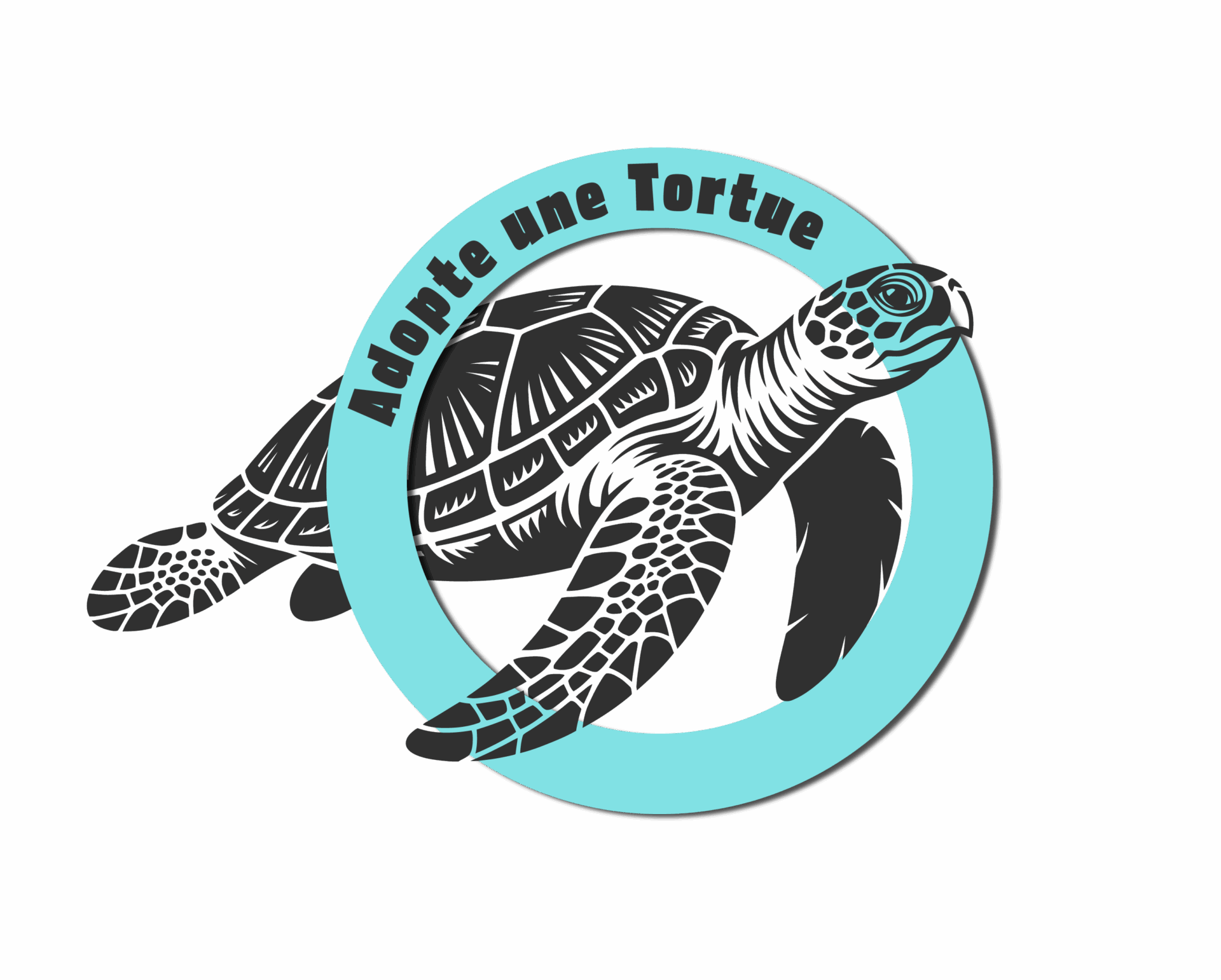 logo Adopte une tortue