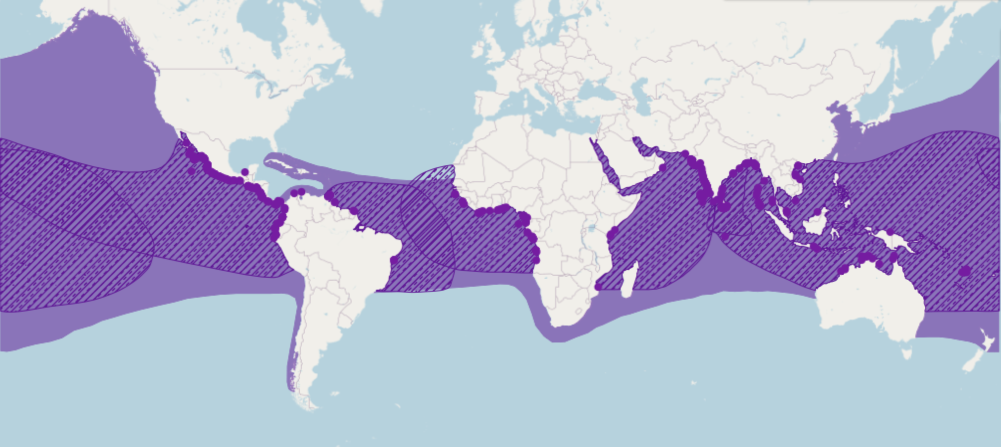 Carte de la répartition mondiale des tortues marines